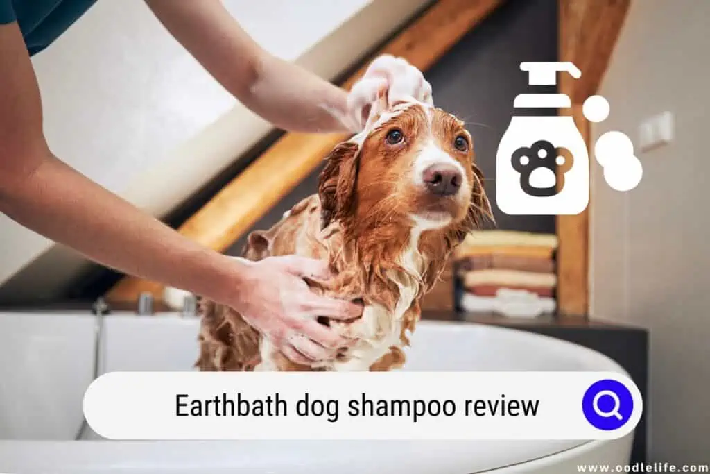 Earthbath dog shampoo