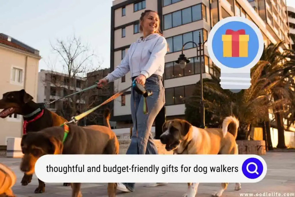 gifts for dog walkers