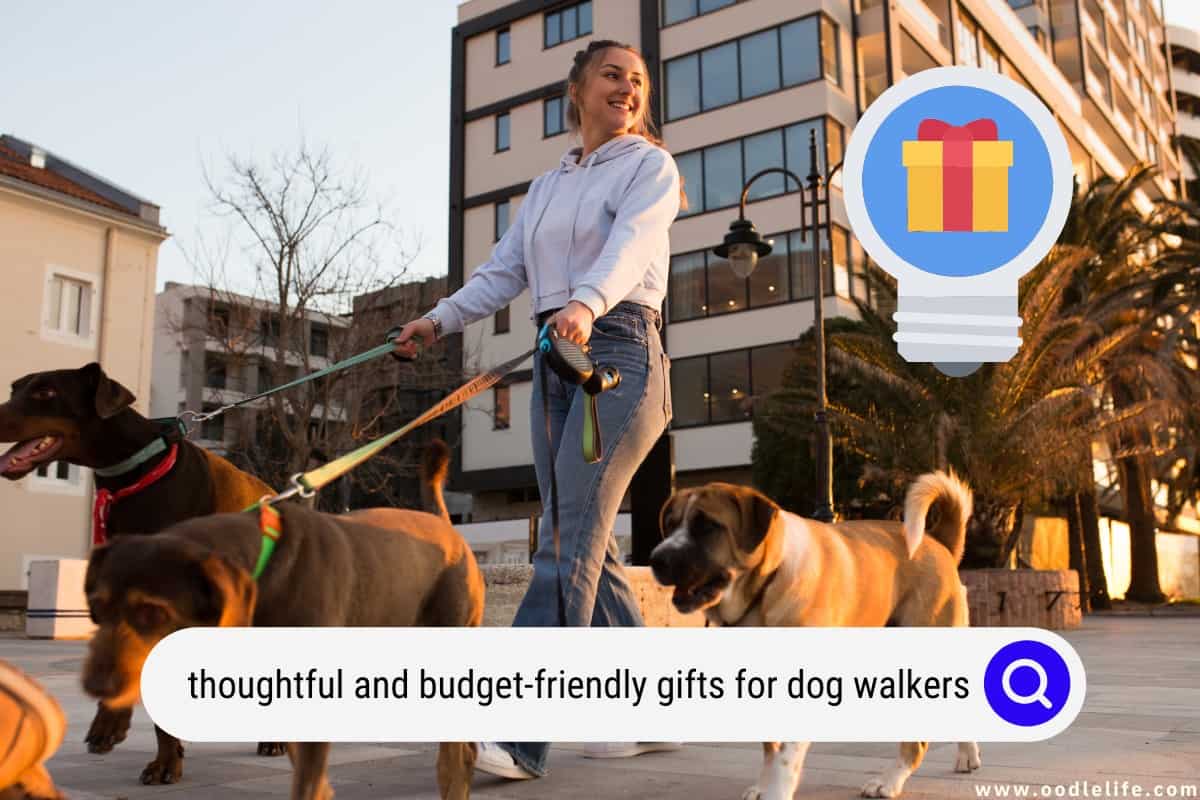 Thoughtful And BudgetFriendly Gifts For Dog Walkers OodleLife®