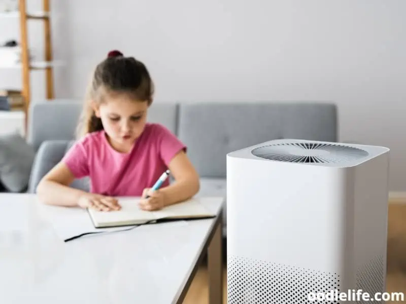 girl study besides an air purifier