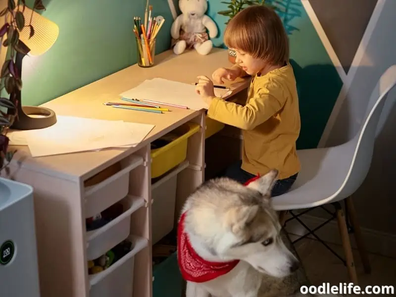 kid and dog inside a room