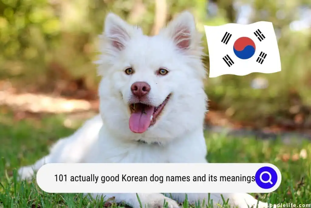 Korean dog names