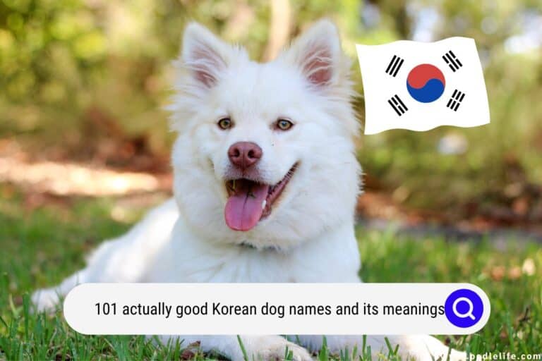101 Actually Good Korean Dog Names & Their Meanings