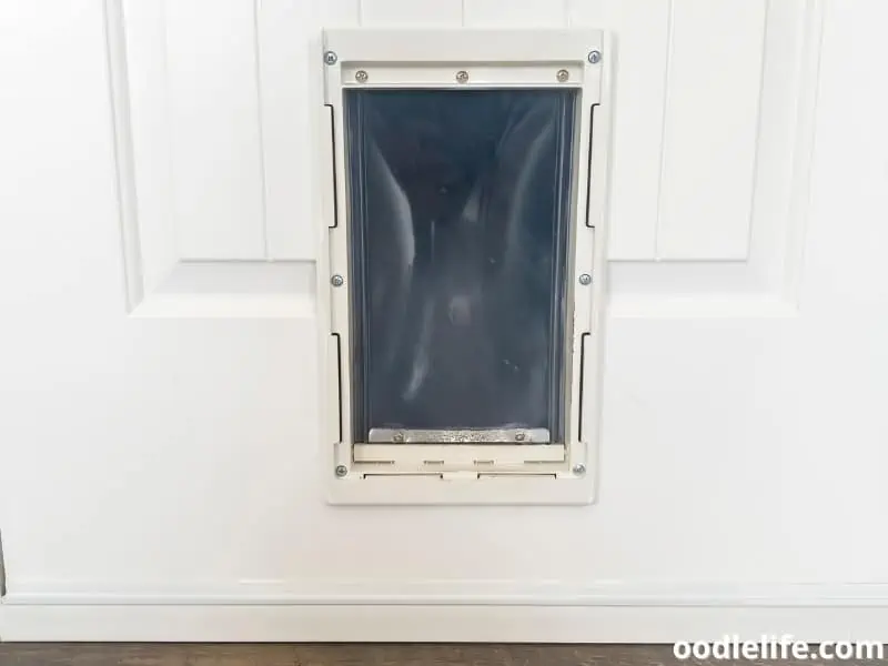 pet flap at wooden door