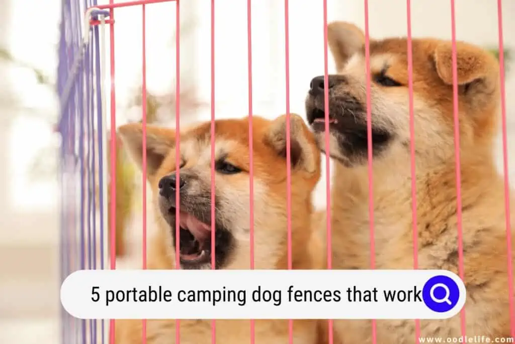 portable camping dog fence