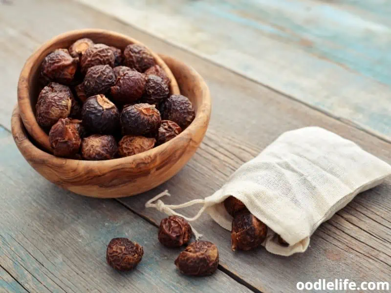 soap nuts and pouch