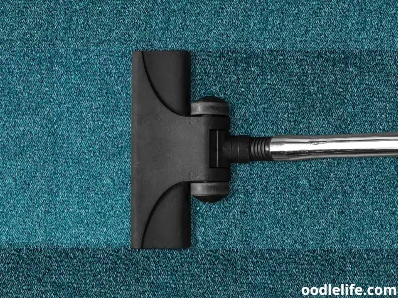 stick vacuum for cleaning a carpet