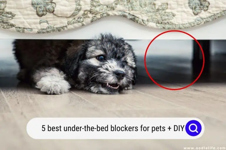 5 Best Under-the-Bed Blockers for Pets  (2023) Plus DIY 