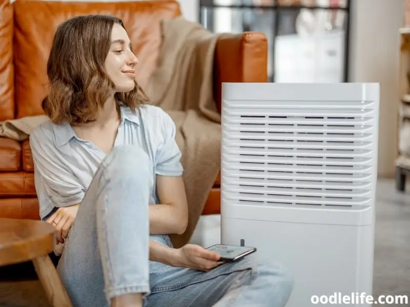 woman and air purifier