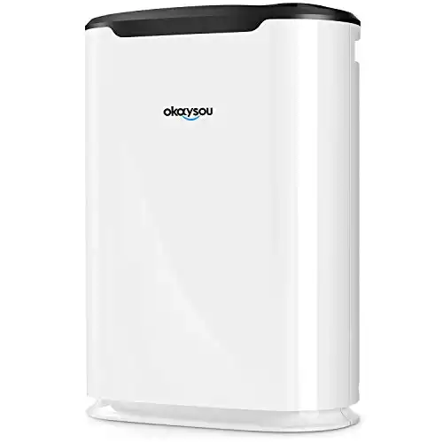 Okaysou Air Purifiers for Home Large Room up to 800 ft², H13 True HEPA Filter Cleaner with Washable Filter, 5-Stage Filtration, Odor Eliminators Remove 99.97% Smoke Dust Pollen Odors, AirMax 8L White