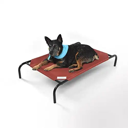 Coolaroo The Original Cooling Elevated Pet Bed, S to L Sizes