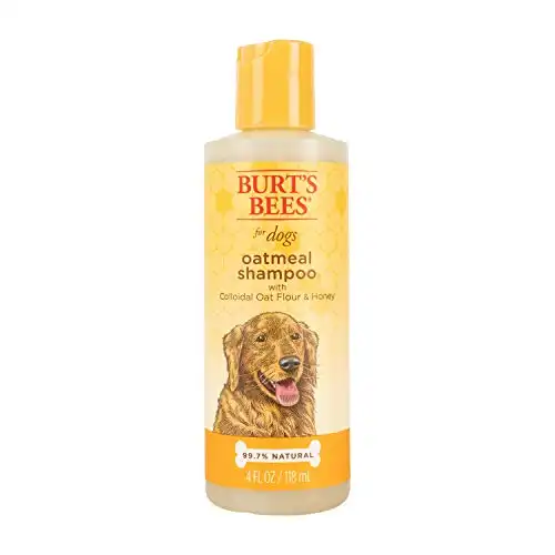 Burt's Bees for Dogs Natural Oatmeal Shampoo with Colloidal Oat Flour and Honey| Oatmeal Dog Shampoo, 4 Ounce Dog Shampoo to Soothe and Cleanse Dogs Skin and Coats