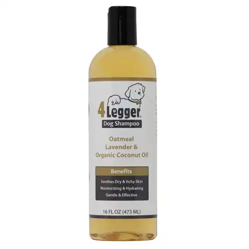 4Legger Organic Oatmeal Dog Shampoo with Aloe and Lavender Essential Oil - All Natural Safely Soothe, Condition and Moisturize Normal to Dry, Itchy Sensitive Skin - Made in USA - 16 oz