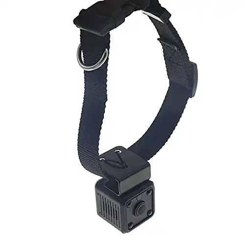 Digital Pet Collar Cam Camera DVR Video Recorder Monitor For Dog Cat Puppy Black