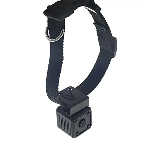 dog collar with camera and microphone