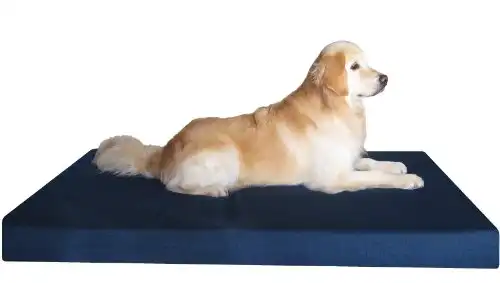 Dogbed4less Jumbo Orthopedic Memory Foam Dog Bed for Large Dogs with Durable Denim Cover, Waterproof Liner and Extra Pet Bed Case, 55X47X4 Inches
