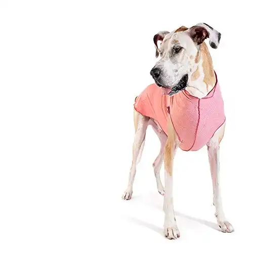 Gold Paw Sun Shield Dog Tee T-Shirt for Canines UV Protection, Pet Anxiety Relief, Wound Care Protects Against Foxtails, Aids Alopecia - Machine Washable, All Season Size 8 Coral