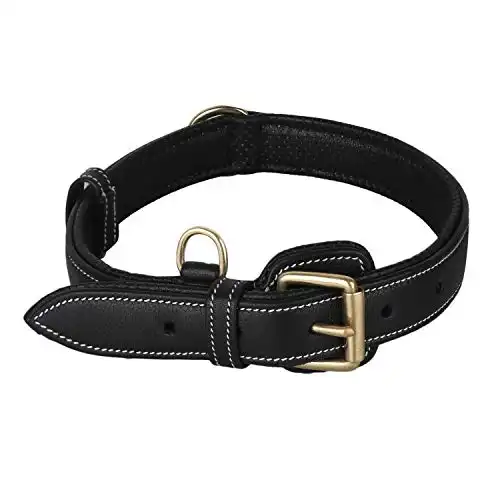 PawFurEver Leather Dog Collar with Soft Breathable Padding for Small Medium and Large Dogs (Medium, Black)