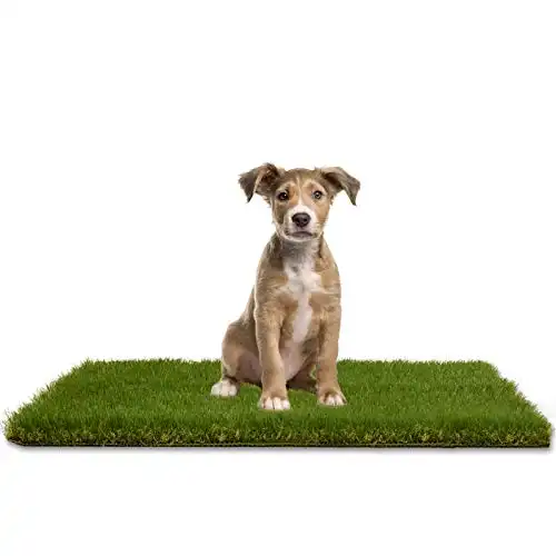 LOOBANI 35in x 23in Replacement Artificial Grass for Dogs, Potty Grass Mat with Drainage Holes, Super Easy Cleaning(1 Pack)