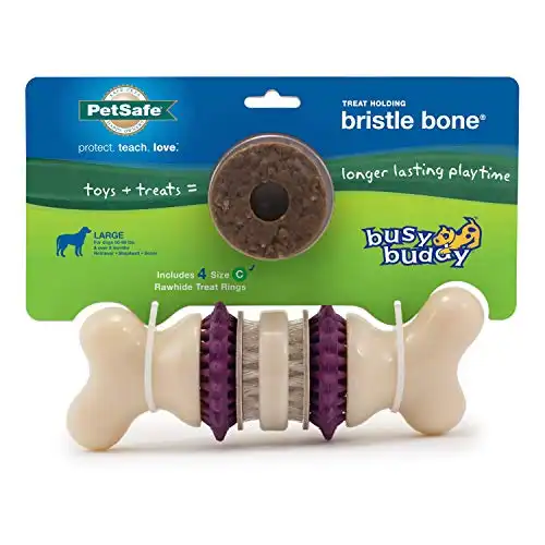 PetSafe Busy Buddy Bristle Bone Chew Toy for Dogs – Strong Chewers – Helps Clean Teeth –Purple, Large