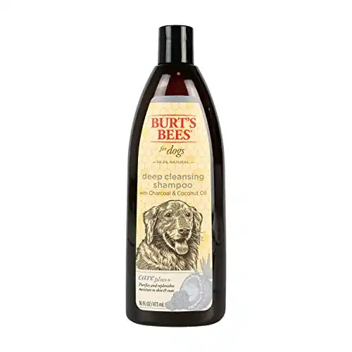Burt's Bees for Dogs Care Plus+ Natural Deep Cleansing Charcoal & Coconut Oil Shampoo | Dog Shampoo to Naturally Purify and Replenish Dog's Skin & Coat | pH Balanced for Dogs - Made ...