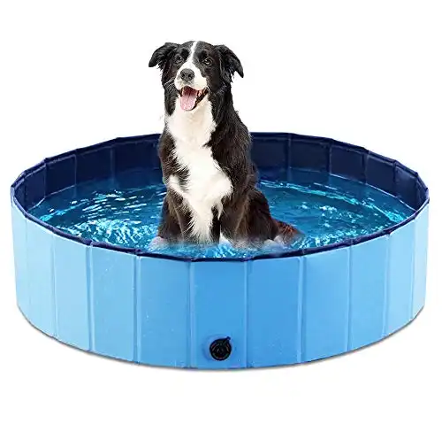 Jasonwell Foldable Dog Pet Bath Pool Collapsible Dog Pet Pool Bathing Tub Kiddie Pool for Dogs Cats and Kids (39.5inch.D x 11.8inch.H, Blue)