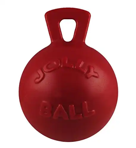 Jolly Pets Tug-n-Toss Heavy Duty Dog Toy Ball with Handle, 10 Inches/X-Large, Red