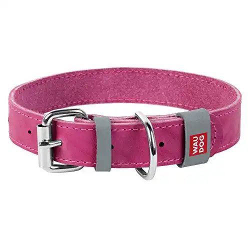 COLLAR WAU Dog Classic Leather for Dogs - 4 Colors - Multiple Sizes (XS- 1/2" Width X 8 1/2" X 11 1/2" Length, Pink)