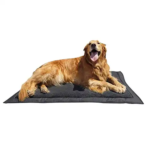 Lightspeed Outdoors Self Inflating Fleece Top Cover Travel Dog Bed | Kennel Bed ,32-Inch by 42 Inch