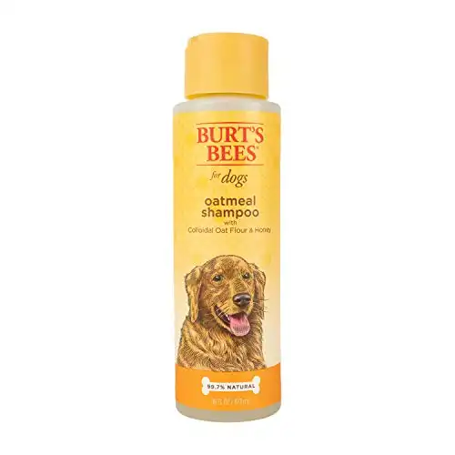 Burt's Bees for Dogs Oatmeal Dog Shampoo | With Colloidal Oat Flour & Honey | Moisturizing & Nourishing, Cruelty Free, Sulfate & Paraben Free, pH Balanced for Dogs - Made in USA, 16 O...