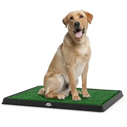 Artificial Grass Puppy Pad for Dogs and Small Pets – Portable Training Pad with Tray – Dog Housebreaking Supplies by PETMAKER (20" x 25")