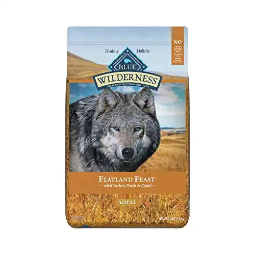 Blue Buffalo Wilderness Flatland Feast High Protein, Natural Dry Dog Food with Turkey, Quail & Duck 22-lb