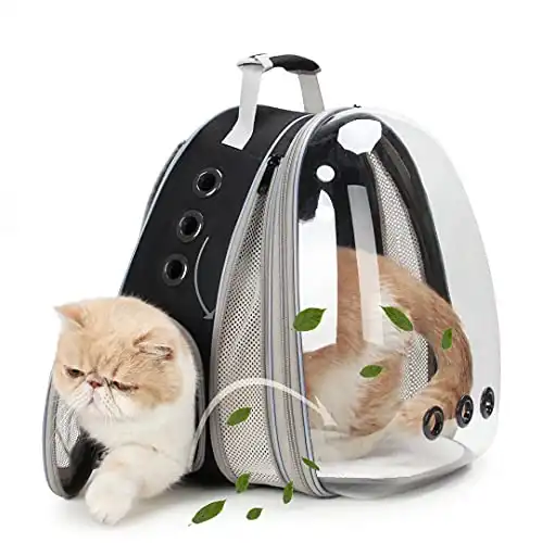 LOLLIMEOW Pet Carrier Backpack, Bubble Backpack Carrier, Cats and Puppies,Airline-Approved, Designed for Travel, Hiking, Walking & Outdoor Use (Black-Front Expandable)