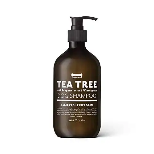 Purplebone Tea Tree Dog Shampoo, 500ml Concentrate | For Cleaning Dirty Coats | Moisturises Hair and Relieves Itchy Skin | With Peppermint & Wintergreen | Natural Dog Grooming Products