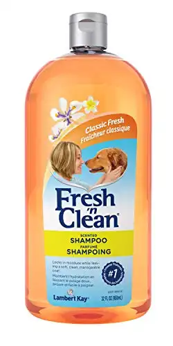 PetAg Fresh 'n Clean Scented Dog Shampoo - Classic Fresh Scent - For Manageable & Shiny Dog Hair - 32 fl oz