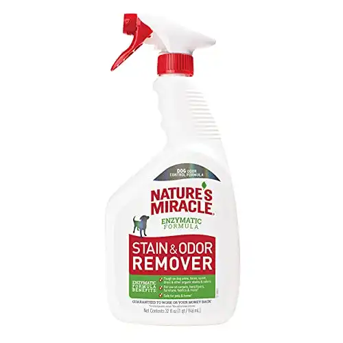 Stain and Odor Remover