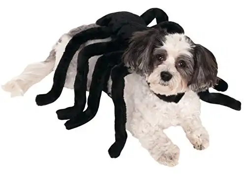 Rubie's Pet Spider Harness Costume, Medium