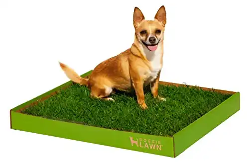 DoggieLawn Real Grass Puppy Pee Pads - 24 x 20 Inches - Perfect Indoor Litter Box for Dogs - No Mess, Easy-to-Use Turf Potty Training for Pets - Eco-Friendly Disposable Bathroom with Real Living Grass