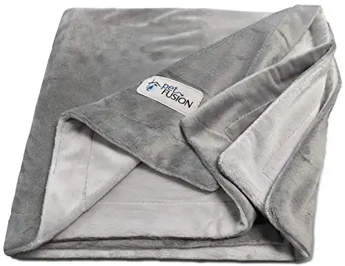 PetFusion Premium Pet Blanket, Multiple Sizes for Dogs & Cats. [Reversible Micro Plush]. 100% Soft Polyester, Gray, Medium (44 x 34) (PF-PB2A)