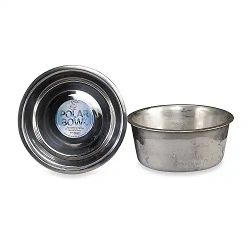 Polar Bowl by Neater Pet Brands (Medium, 3.5 Cup)