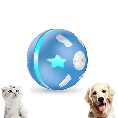 PetDroid Interactive Dog/Cats Ball Toys,Durable Motion Activated Automatic Rolling Ball Toys for Puppy/Small/Medium Dogs,USB Rechargeable (Dog/Cat Ball Toy)