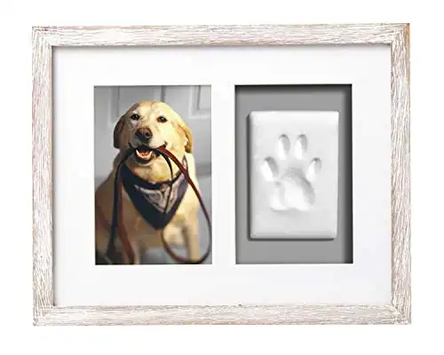 Pearhead Pet Pawprints Wall Picture Frame and Clay Impression Kit, Pet Owner Gifts, Distressed White