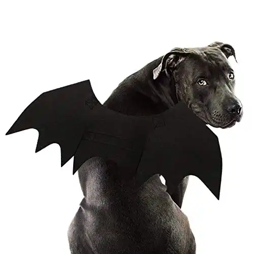 Rypet Dog Bat Costume - Halloween Pet Costume Bat Wings Cosplay Dog Costume Pet Costume for Party L