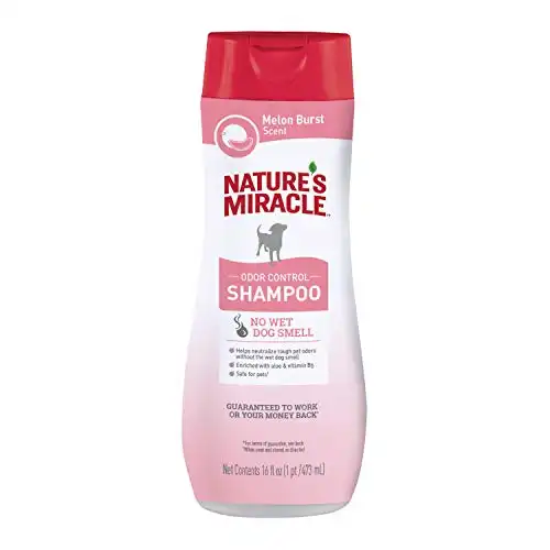 Nature's Miracle Odor Control Shampoo, 16 Ounces, Lavender Scent