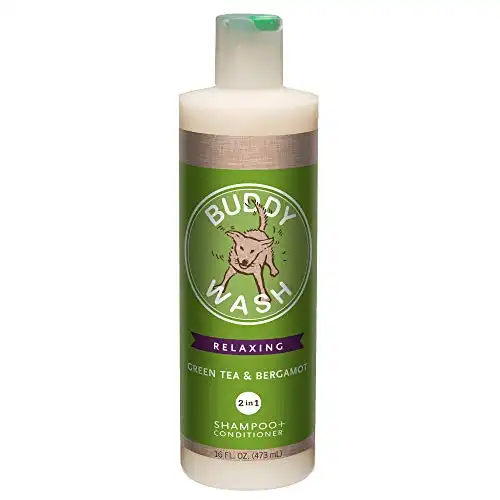 Buddy Biscuits Buddy Wash Dog Shampoo & Conditioner for Dogs with Botanical Extracts and Aloe Vera, Green Tea & Bergamot - 16 fl. oz., Model:CS15232