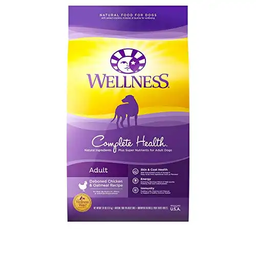 Wellness Complete Health Natural Dry Dog Food, Chicken & Oatmeal, 30-Pound Bag