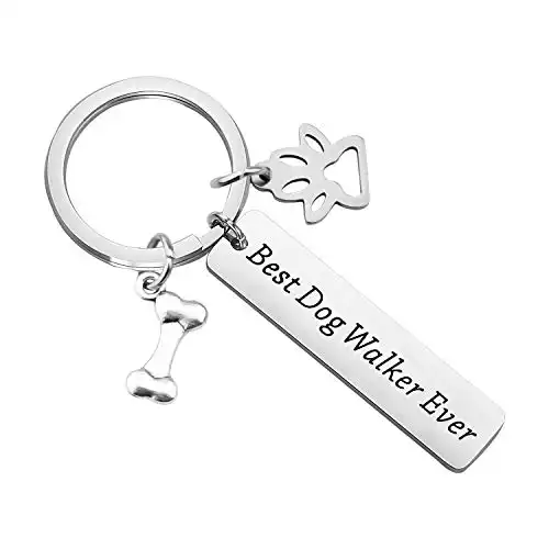 Dog Walker Gift Best Dog Walker Ever Keychain Dog Sitter Gift Dog Sitter Appreciation Gift Dog Sitter Leaving Gift Dog Lover Gift Dog Owner Gift (Dog Walker Keychain)