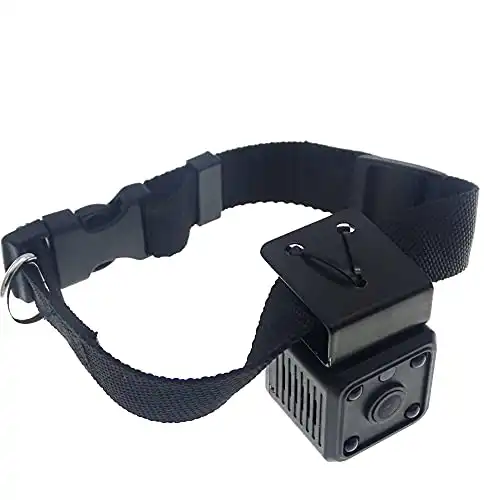 dog collar with camera and microphone