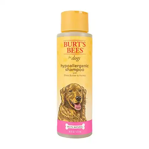 Burt's Bees for Dogs Hypoallergenic Dog Shampoo with Shea Butter & Honey | Shampoo for Dogs with Dry or Sensitive Skin | Cruelty Free, Sulfate & Paraben Free, pH Balanced for Dogs -| 16 O...