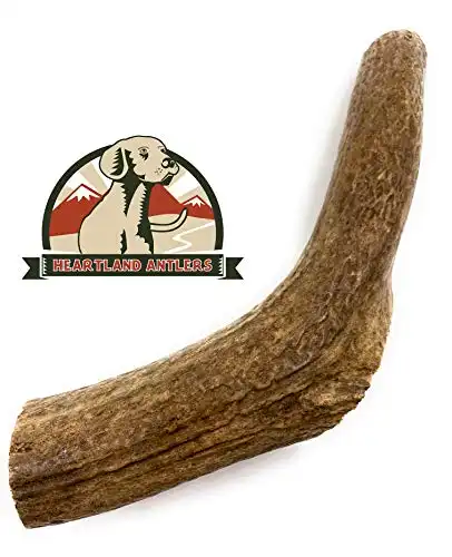 Elk Antlers for Dogs, Premium Grade-A Dog Chews, Long Lasting Dog Bones for Aggressive Chewers, Product of The USA (Large)